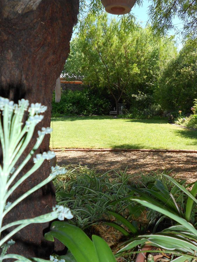 Pane Vivente Garden Cottage Beaufort West Exteriér fotografie