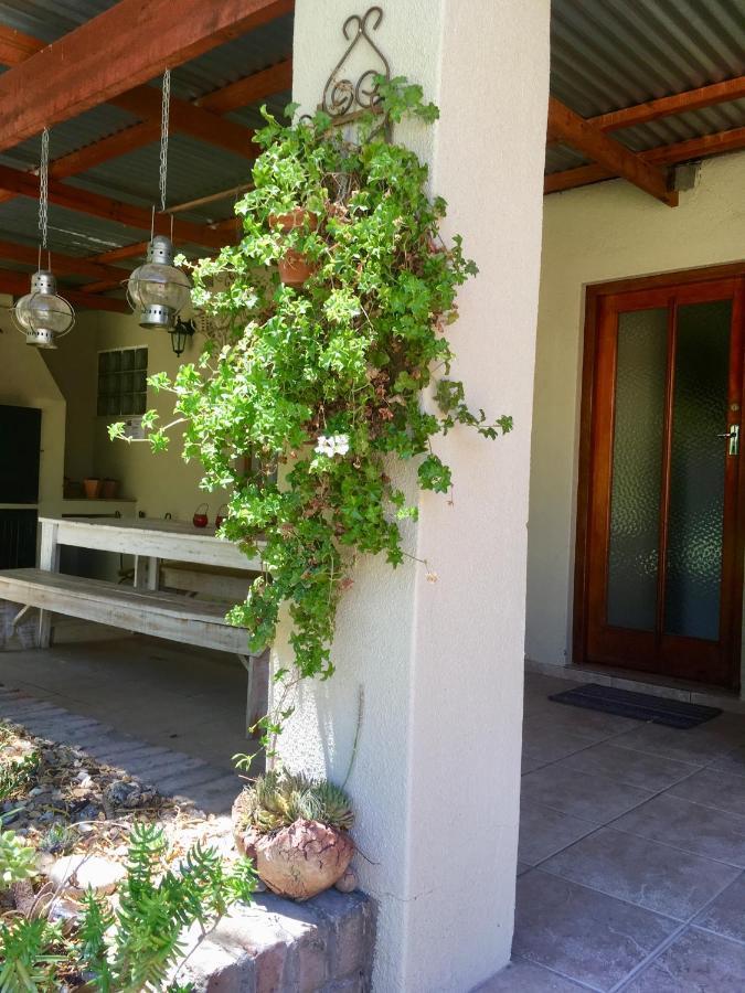 Pane Vivente Garden Cottage Beaufort West Exteriér fotografie